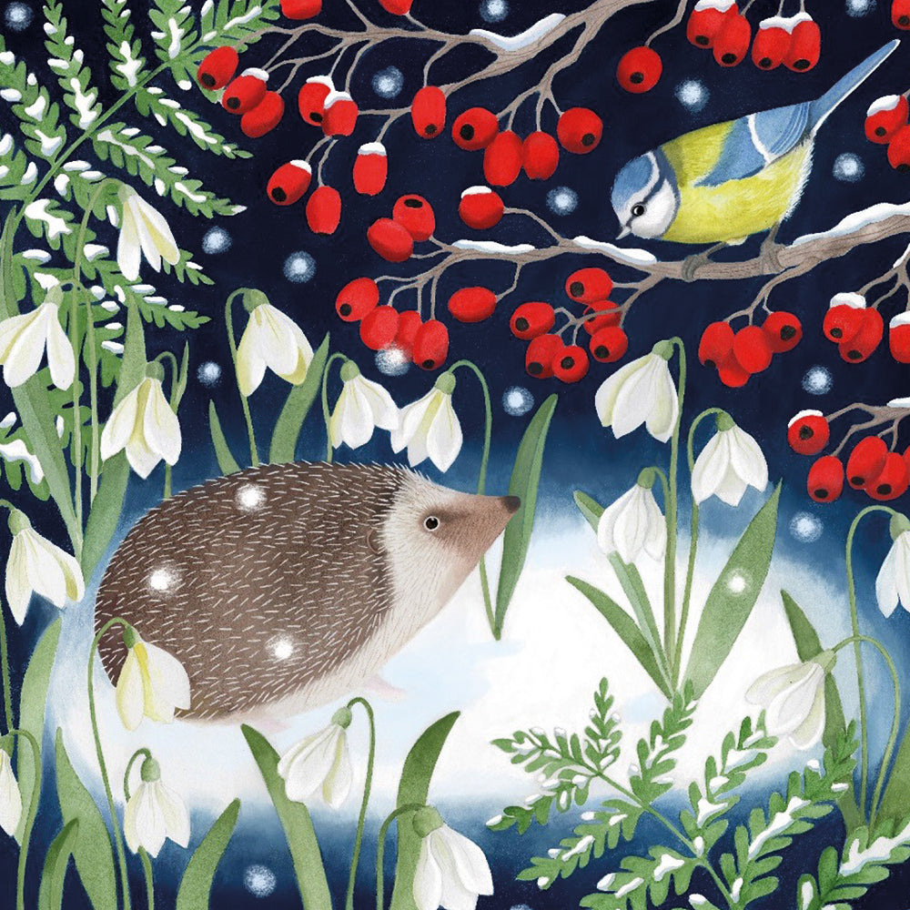 Woodland Friends by Bex Parkin Box of 20 Charity Christmas Cards - Bee's Emporium