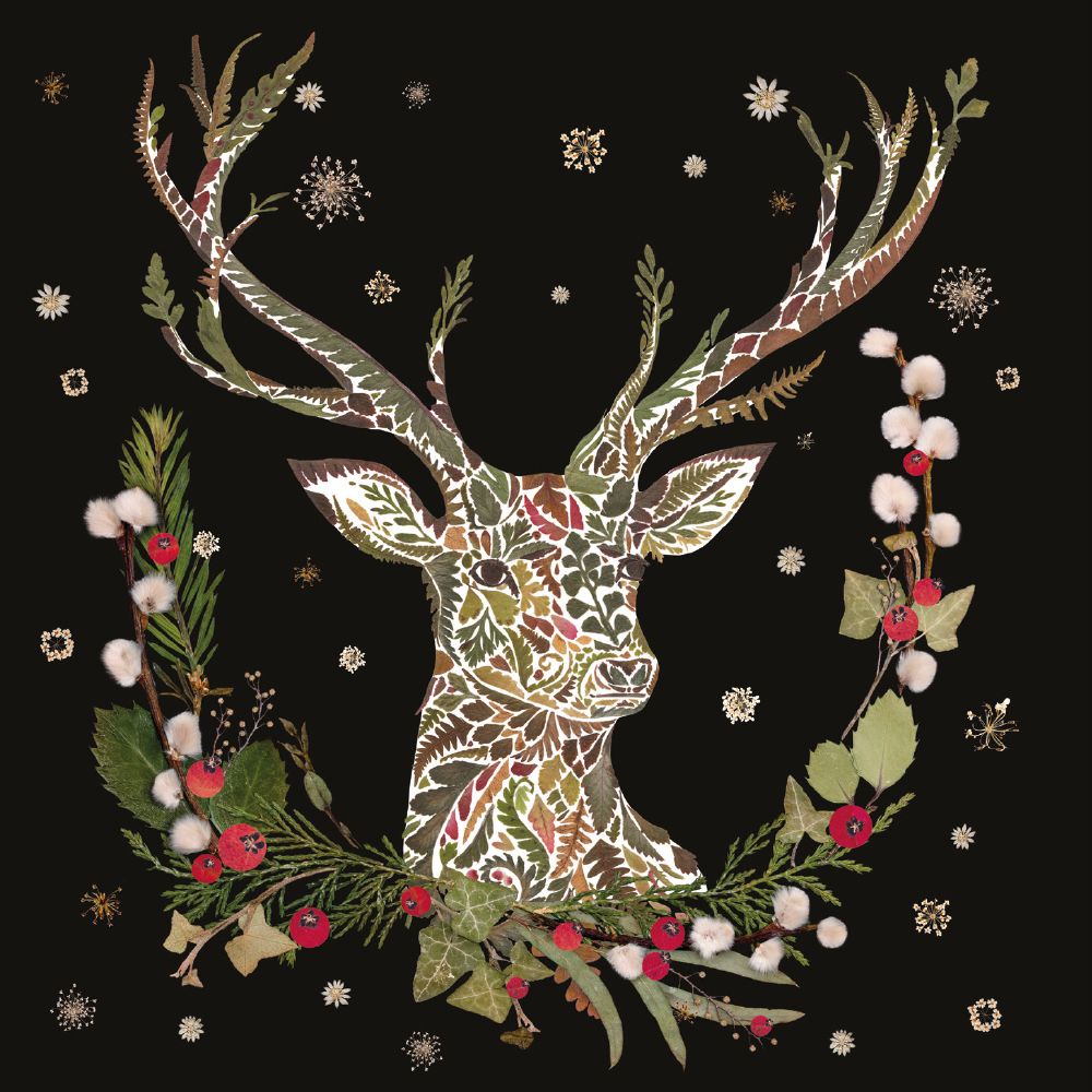 Wild Press Wild Wreaths by Helen Ahpornsiri Box of 20 Christmas Charity Cards - Bee's Emporium