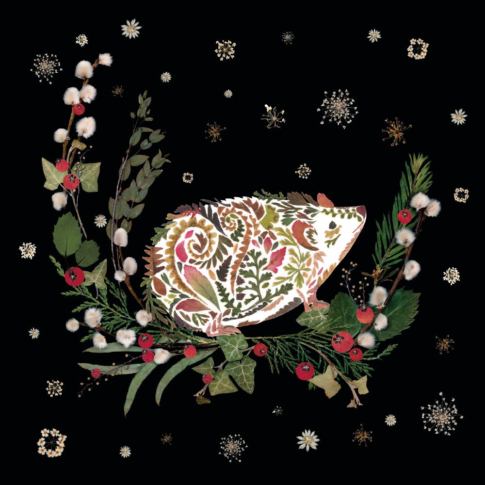 Wild Press Wild Wreaths by Helen Ahpornsiri Box of 20 Christmas Charity Cards - Bee's Emporium