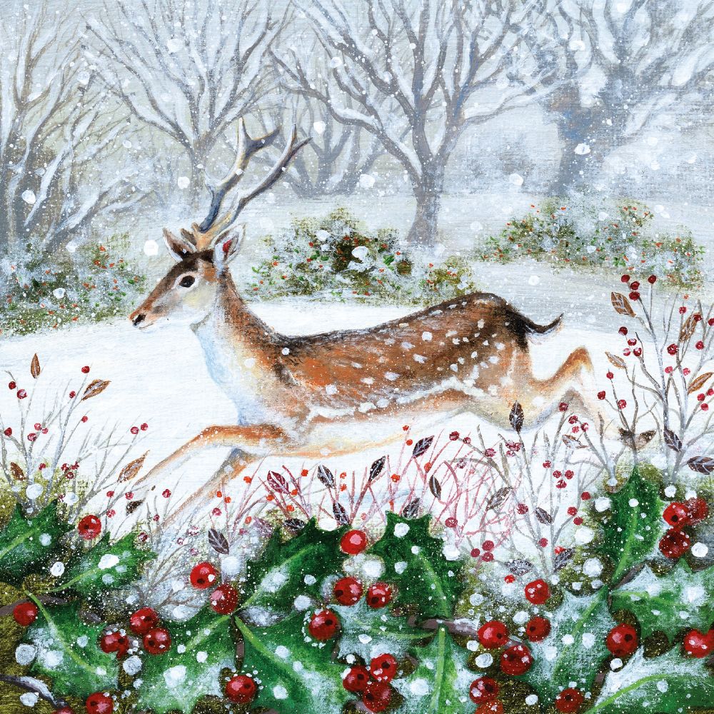 Snowy Garden by Lucy Grossmith Box of 20 Christmas Charity Cards