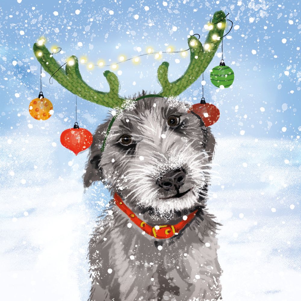 Christmas Companions Box of 20 Christmas Charity Cards - Bee's Emporium