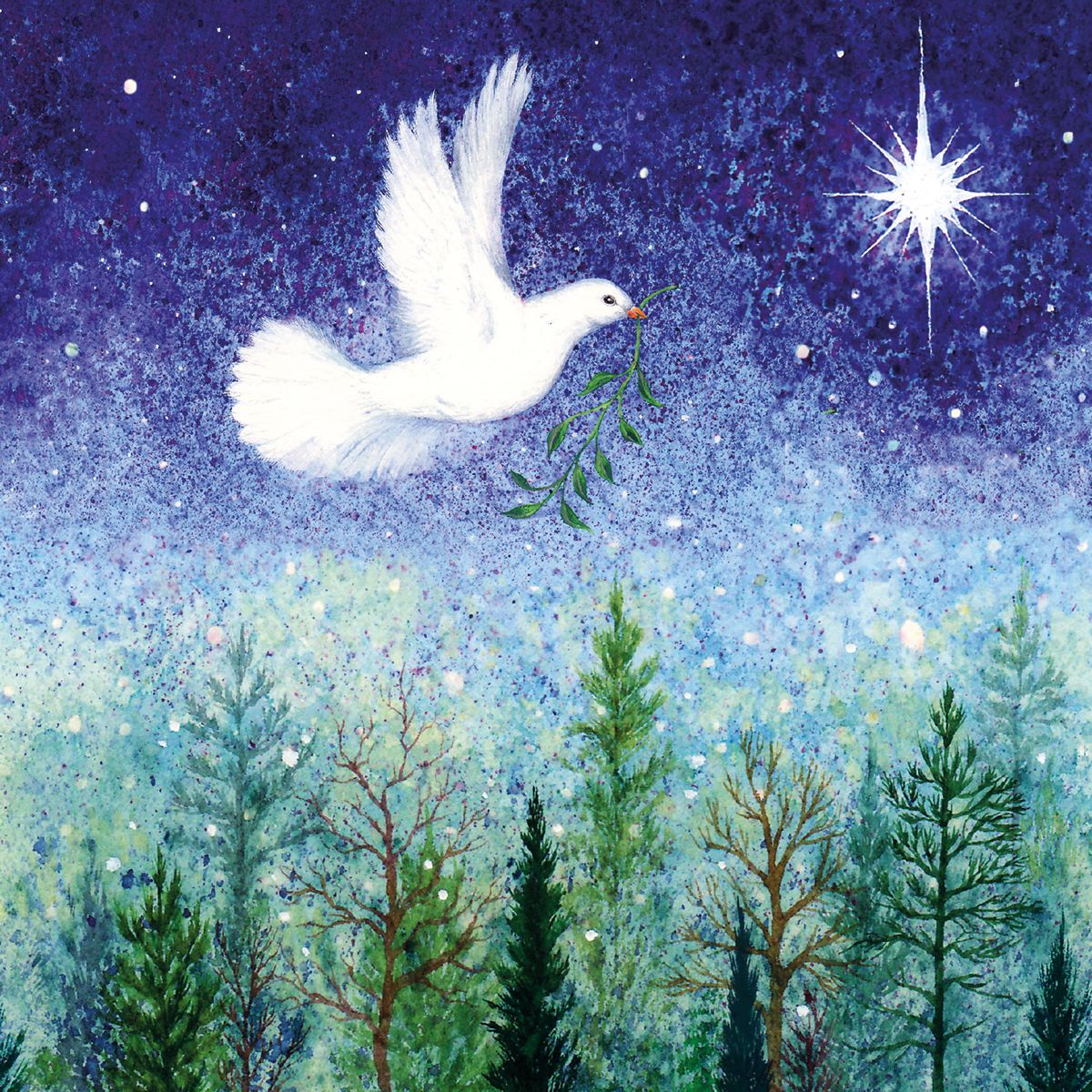 Christmas Flight Box of 20 Christmas Charity Cards