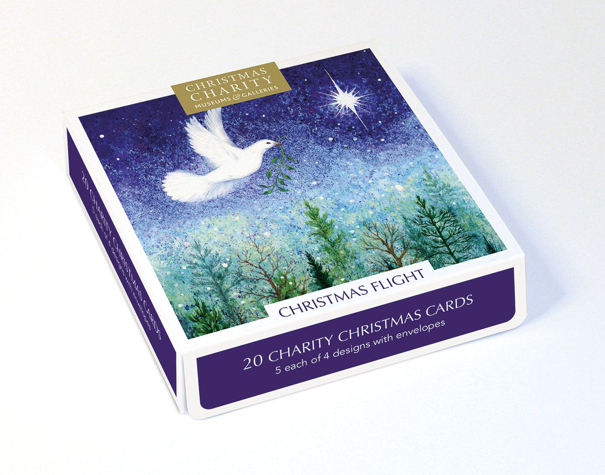 Christmas Flight Box of 20 Christmas Charity Cards