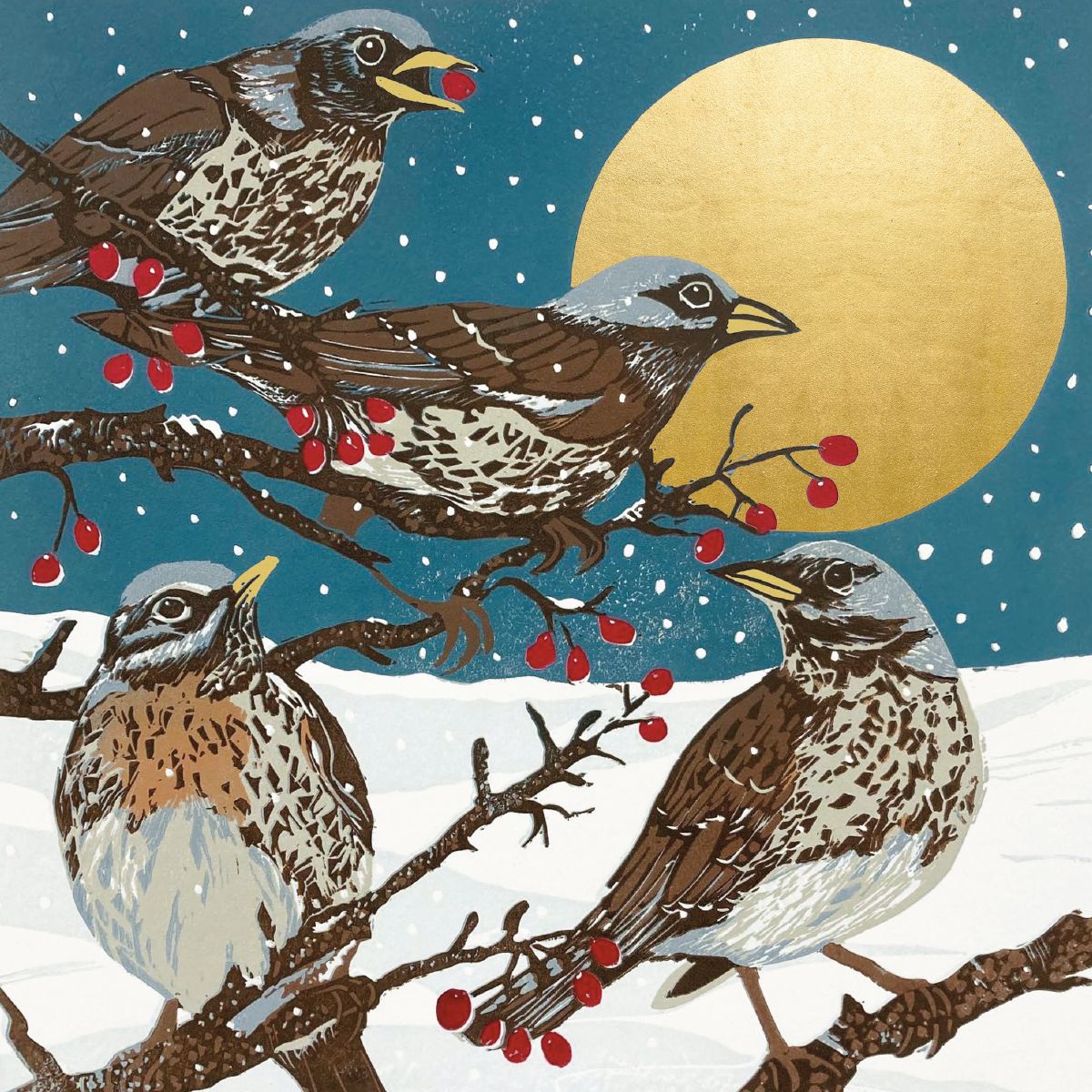 Moonlit Bird Prints by Sue Welfare Box of 12 Christmas Cards