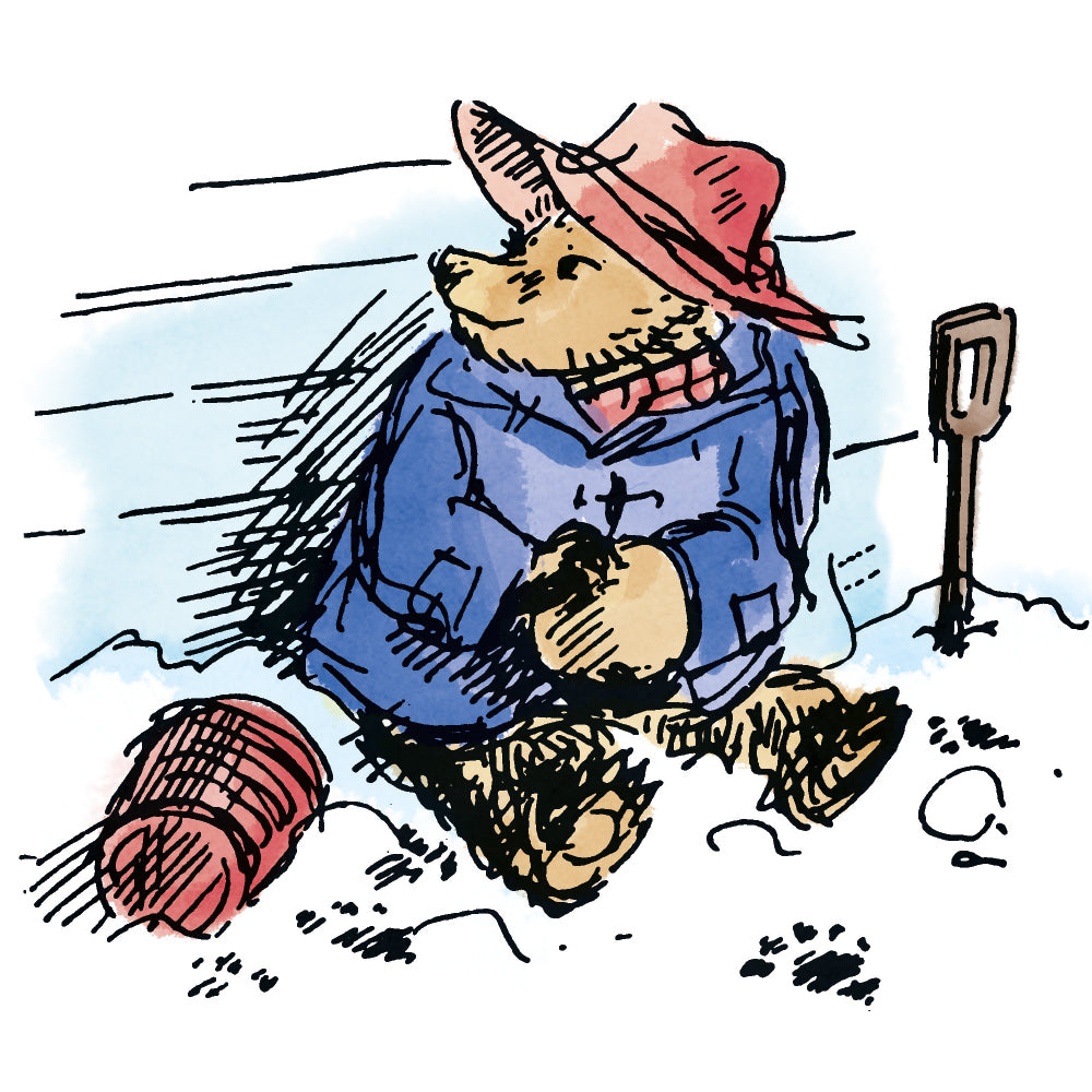 Paddington Bear in the Snow Box of 16 Christmas Cards - Bee's Emporium