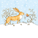 Guess How Much I Love you - Fun in the Snow Box of 16 Christmas Cards