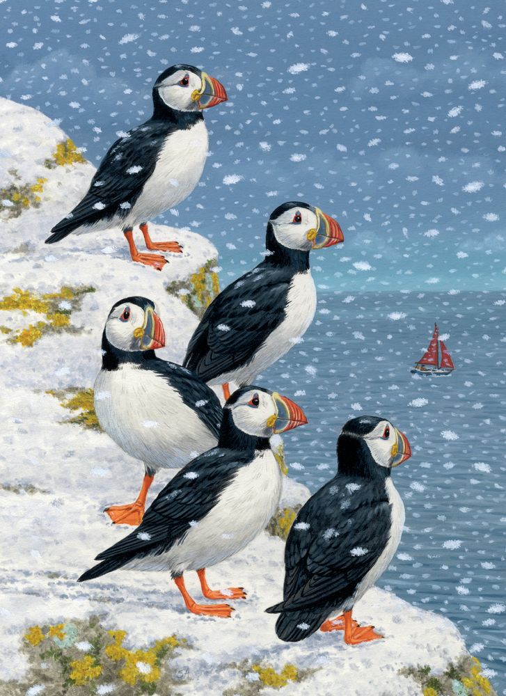 Puffins in the Snow by Sarah Adams Pack of 8 Christmas Cards - Bee's Emporium