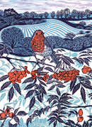 Midwinter Robin by Claire Armitage Pack of 8 Christmas Cards