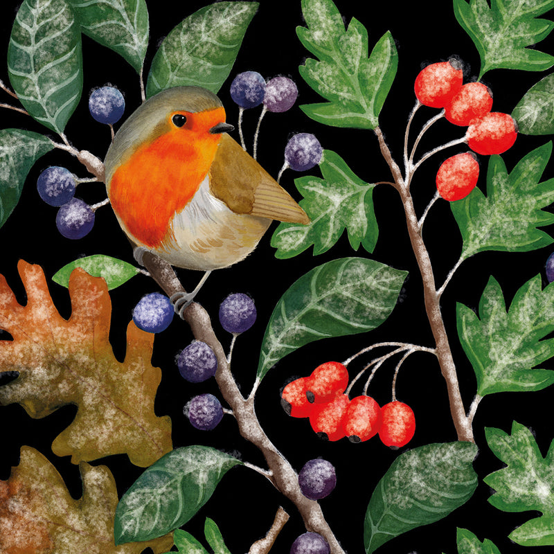 Robin and Frosty Berries by Bex Parkin Pack of 8 Christmas Cards