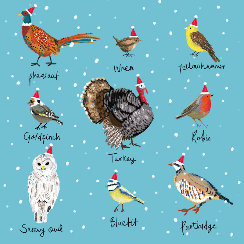 Festive Birds by Karen Kane Pack of 5 Christmas Cards