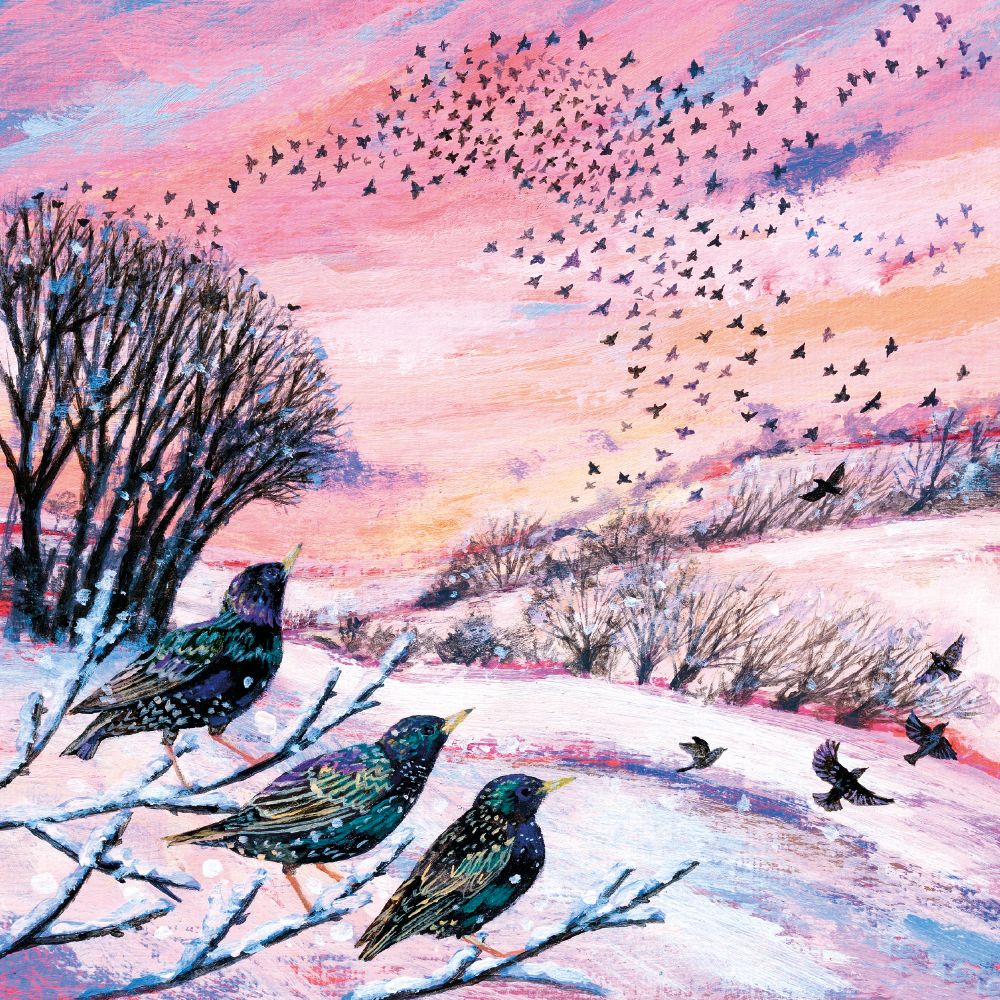 Winter Murmurations by Lucy Grossmith Pack of 5 Christmas Cards
