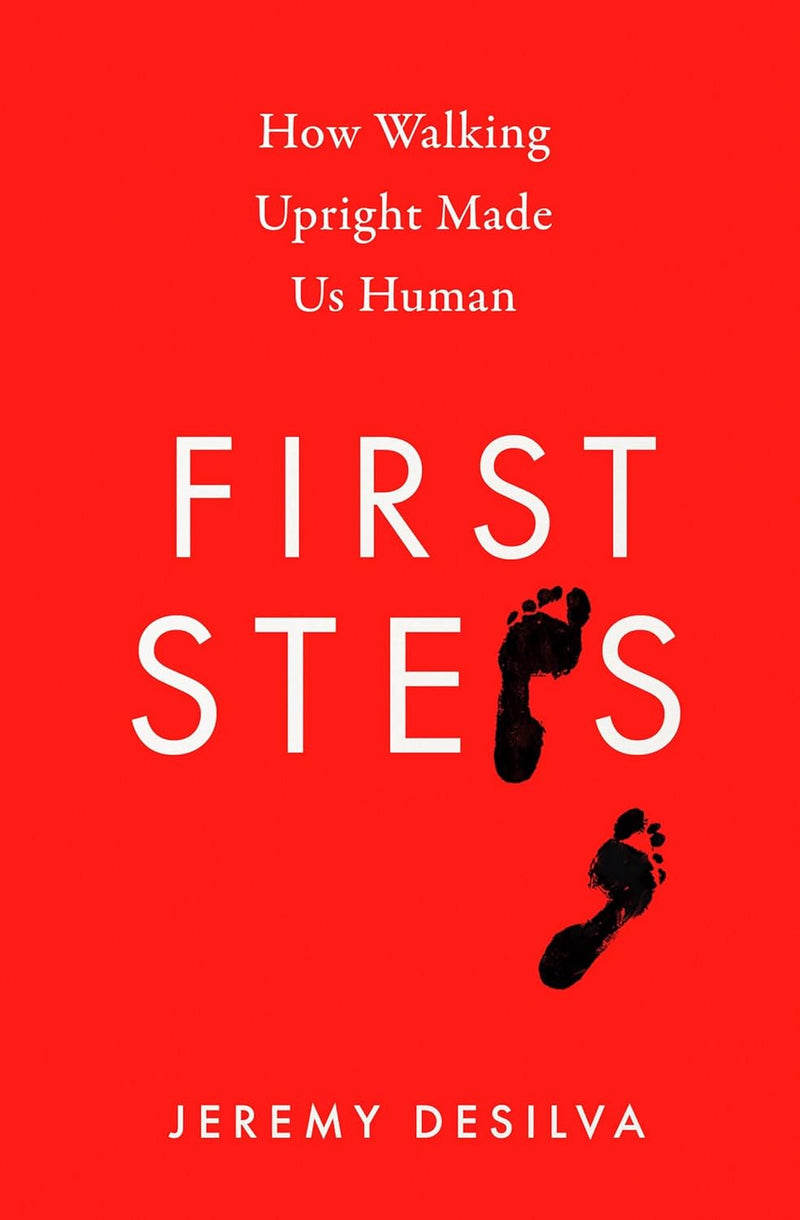 First Steps: How Walking Upright Made Us Human (Hardcover)