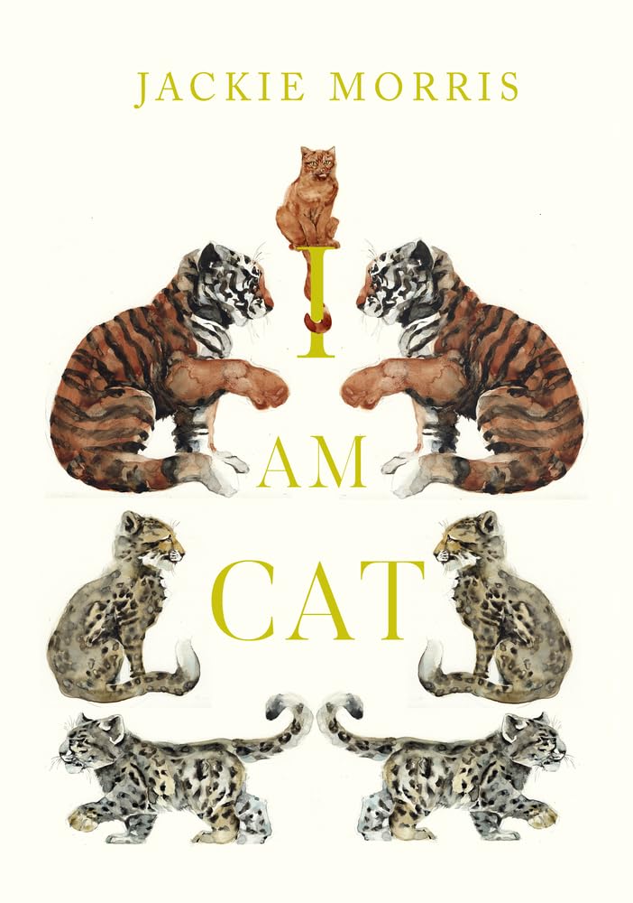 I Am Cat by Jackie Morris (Hardcover)