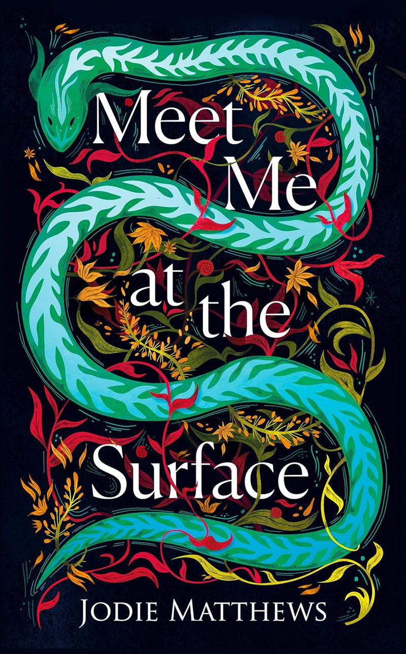 Meet Me at the Surface by Jodie Matthews (Hardcover)