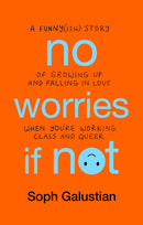 No Worries If Not: A Funny(ish) Story of Growing Up and Falling in Love When You're Working Class and Queer (Paperback)