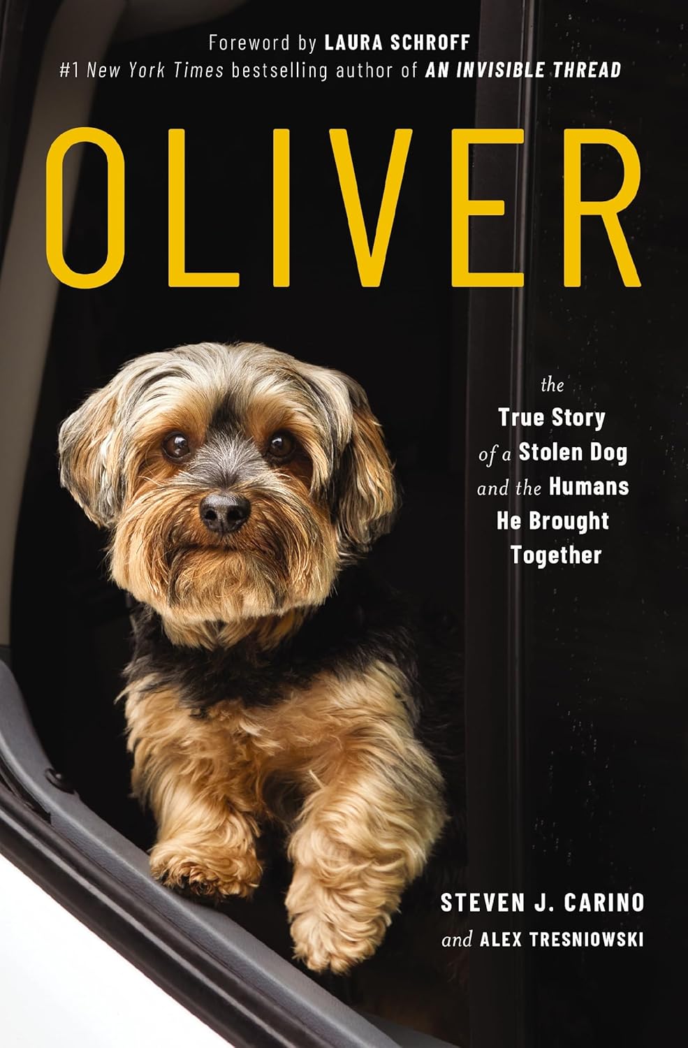 OLIVER: The True Story of a Stolen Dog and the Humans He Brought Together (Paperback) - Bee's Emporium