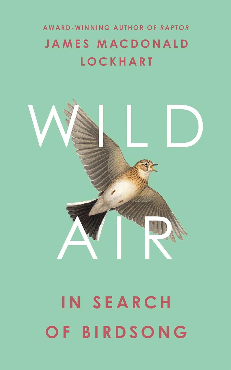 Wild Air: In Search of Birdsong (Hardcover)