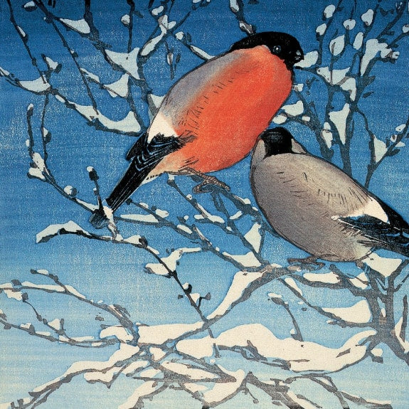 The British Museum - Winter Bird Prints Box of 20 Christmas Cards