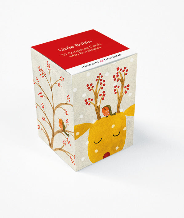 Little Robin Box of 20 Mini Christmas Cards Cube