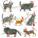 Santa Claws by Laura Hughes Pack of 5 Charity Christmas Cards