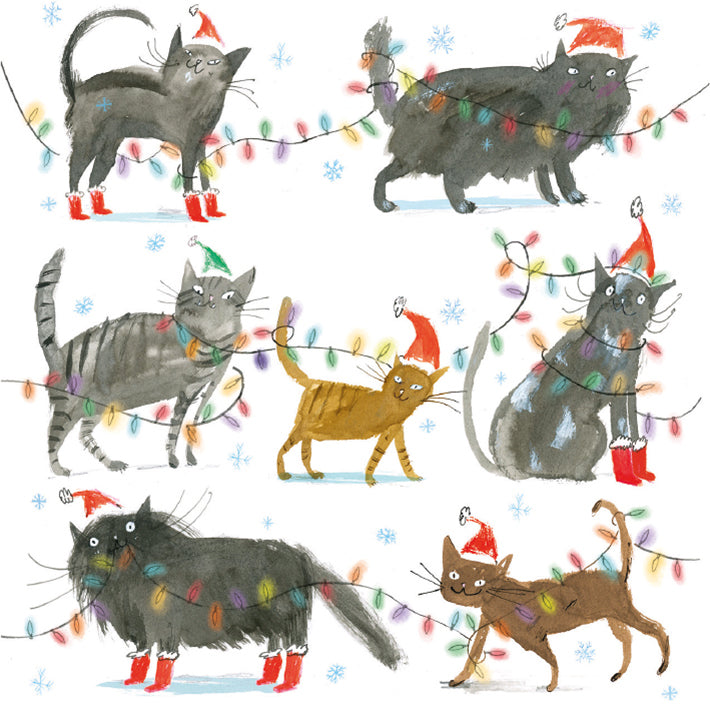 Santa Claws by Laura Hughes Pack of 5 Charity Christmas Cards