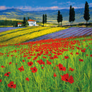 Field of Dreams Blank Greeting Card with Envelope