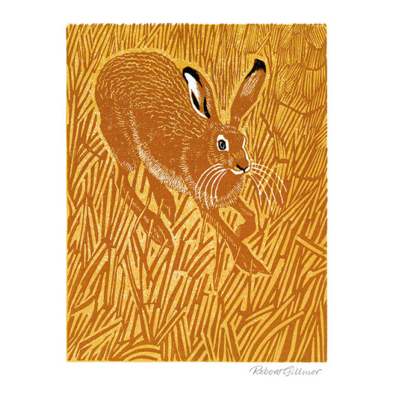Stubble Hare by Robert Gillmor Blank Greeting Card with Envelope