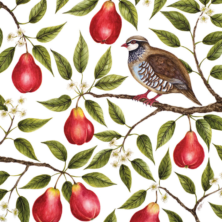 Partridge in a Pear Tree by Kelly Higgs Pack of 5 Christmas Cards