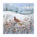 Pheasants by Lucy Grossmith Pack of 8 Christmas Cards