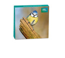 BBC Earth Blue Tit Mini Notecard Wallet - Bee's Emporium