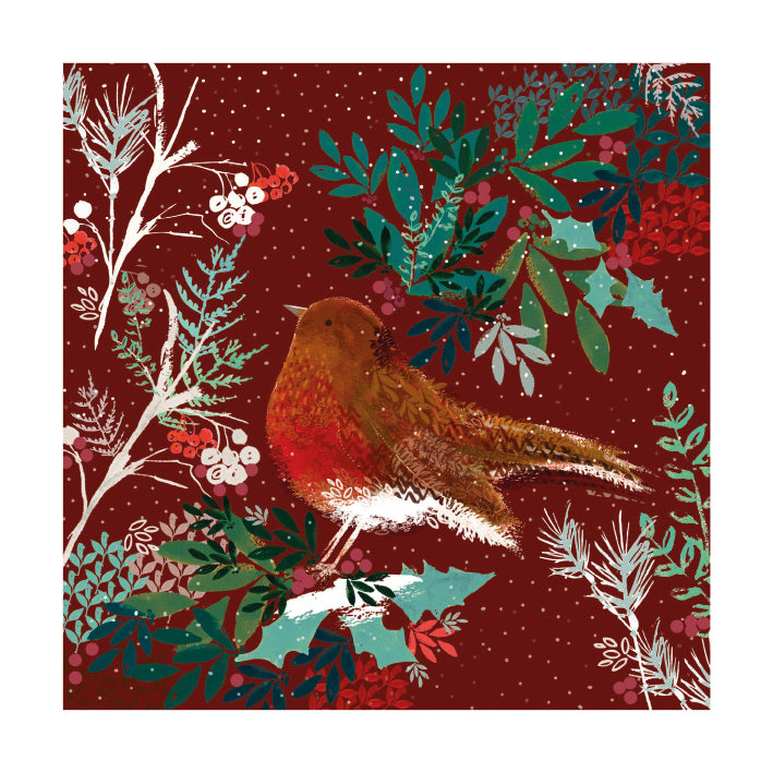 Holly & Robin by Jo Spicer Pack of 8 Christmas Cards