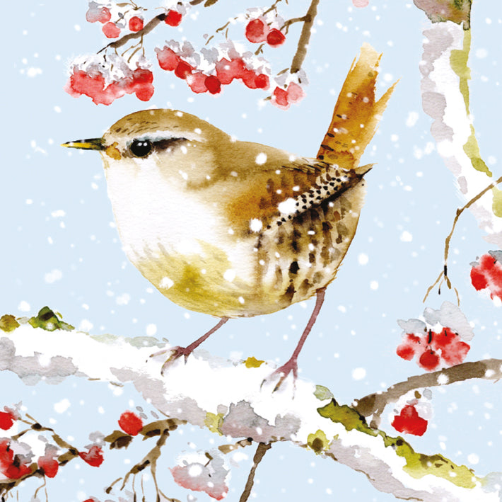 Winter Birds by Louise Nisbet Box of 20 Christmas Cards