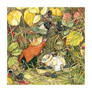 Brambly Hedge Square Set of 8 Notecards Wallet