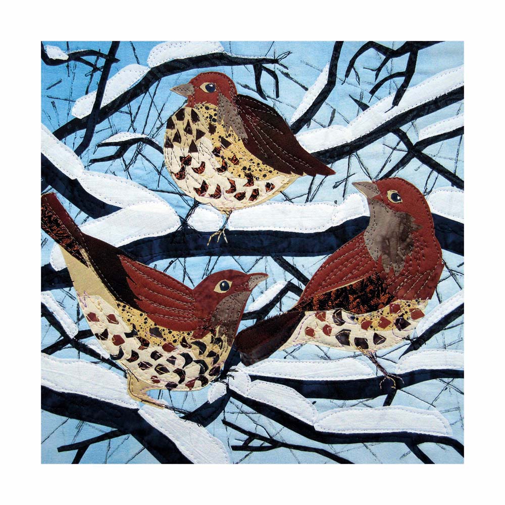 Frosty Feather by Kate Findlay Box of 20 Christmas Cards - Bee's Emporium