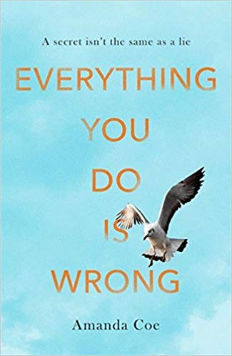 Everything You Do Is Wrong (Hardcover) by Amanda Coe - Bee's Emporium