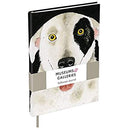 Einstein Softcover Journal - Bee's Emporium