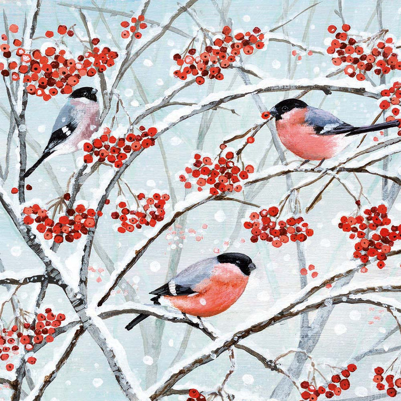 Bullfinches and Berries by Lucy Grossmith Pack of 5 Christmas Charity Cards