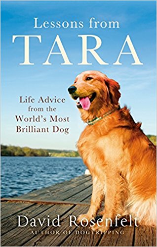 Lessons from Tara: Life Advice from the World's Most Brilliant Dog - Bee's Emporium