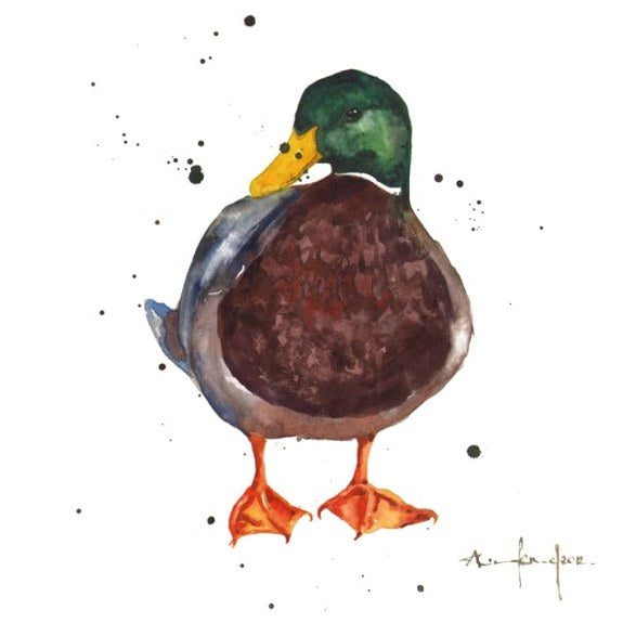 Alison's Ark - Mallard Duck Blank Greeting Card with Envelope - Bee's Emporium
