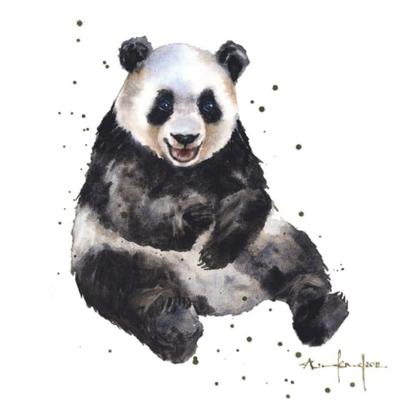 Alison's Ark - Andy Panda Blank Greeting Card with Envelope