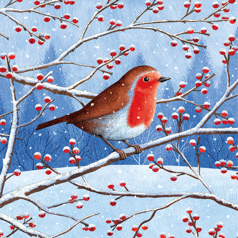 Robin & Berries by Jane Newman Gray Pack of 8 Charity Christmas Cards