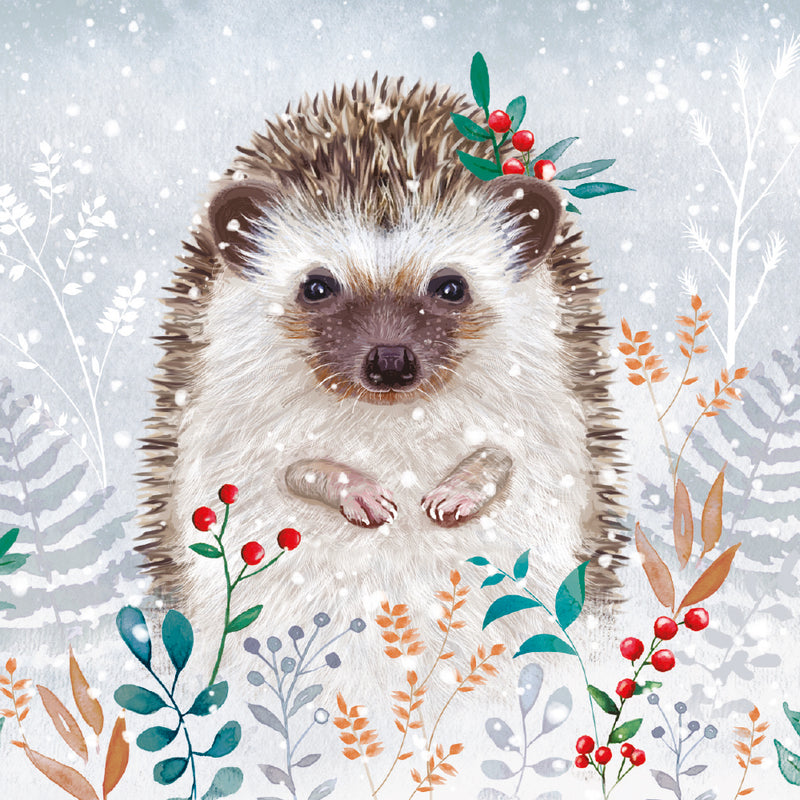 Winter Foliage Hedgehog by Jane Sunner Pack of 8 Charity Christmas Cards
