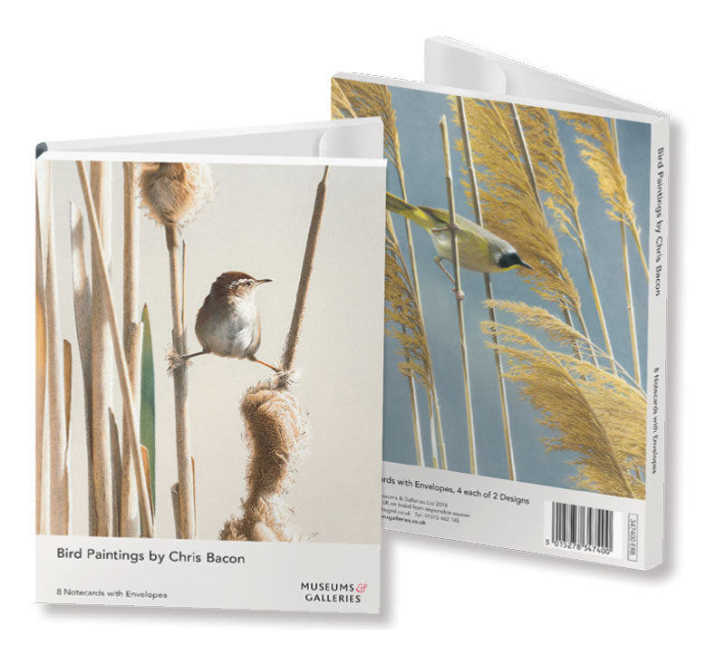 Bird Paintings by Chris Bacon Rectangle Notecard Wallet - Bee's Emporium