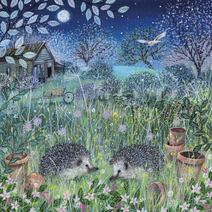 Coast and Country - Hedgehogs Blank Greeting Card with Envelope - Bee's Emporium