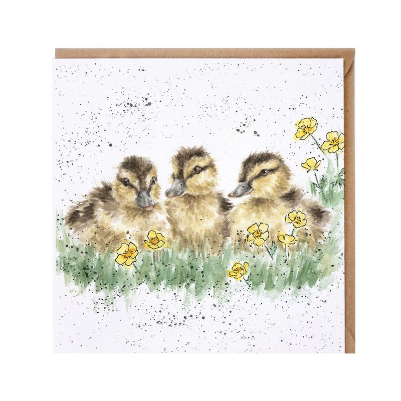 The Country Set - 'Buttercup' Ducklings  Blank Greeting Card with Envelope