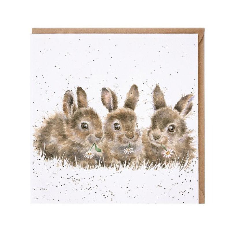The Country Set - 'Daisy Chain' Rabbits Blank Greeting Card with Envelope