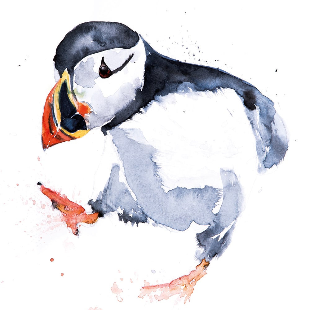 Watercolour Animals by Syman Kaye 8 Square Notecards Wallet - Bee's Emporium