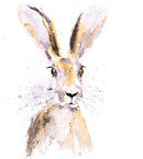 Watercolour Animals by Syman Kaye 8 Square Notecards Wallet