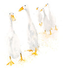 Watercolour Animals by Syman Kaye 8 Square Notecards Wallet