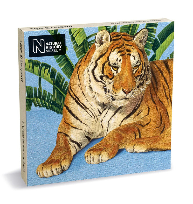 Natural History Museum Tiger & Leopard 8 Square Notecards Wallet